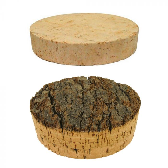 35 Pcs Bouchon en bois de liège conique Compatible avec l